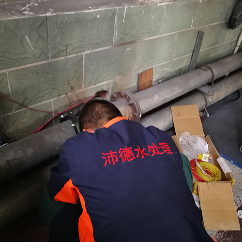 循环水除垢仪