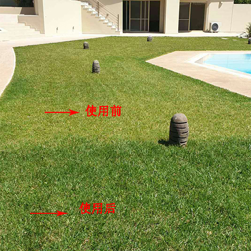 电磁除垢防垢器