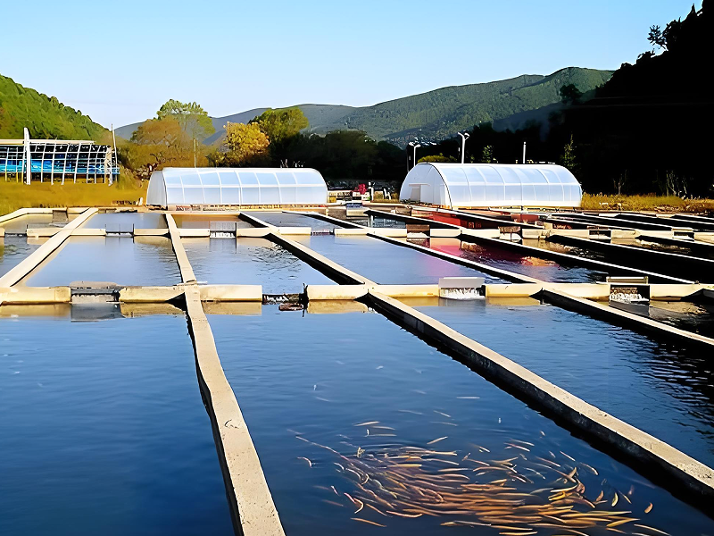 使用Aqusoften® 进行水产养殖水处理